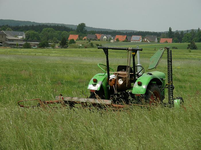 Lomnitz Gemeinde Wachau